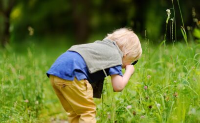 Badania na Helicobacter pylori testy z krwi i z kału