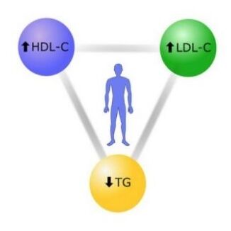 Triada Lean Mass Hyper responder. Fenotyp LMHR. Lean Mass Hyper responder. LMHR co znaczy. Lean Mass Hyper-responder. lean hyper responder, lean mass hyperresponder, lipid energy model, hyper responders